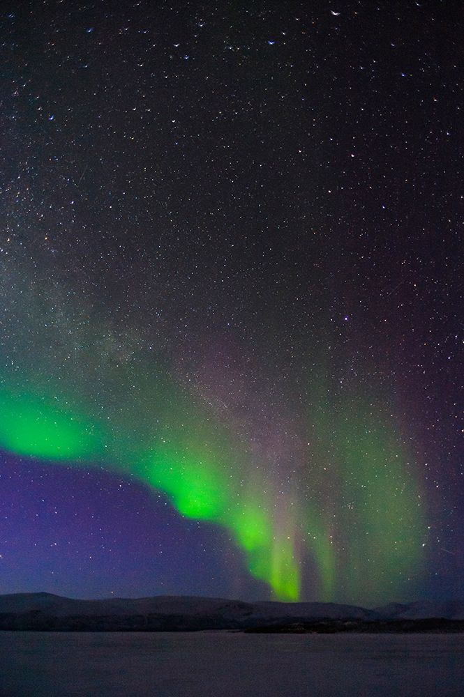 Sweden-Norrbotten-Abisko. Aurora Borealis (Northern Lights) over Torne Lake.
